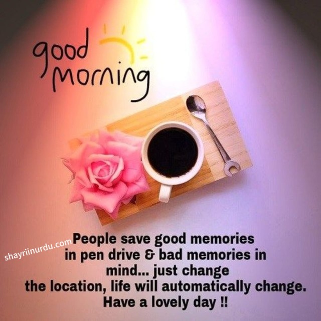 Good Morning Quotes