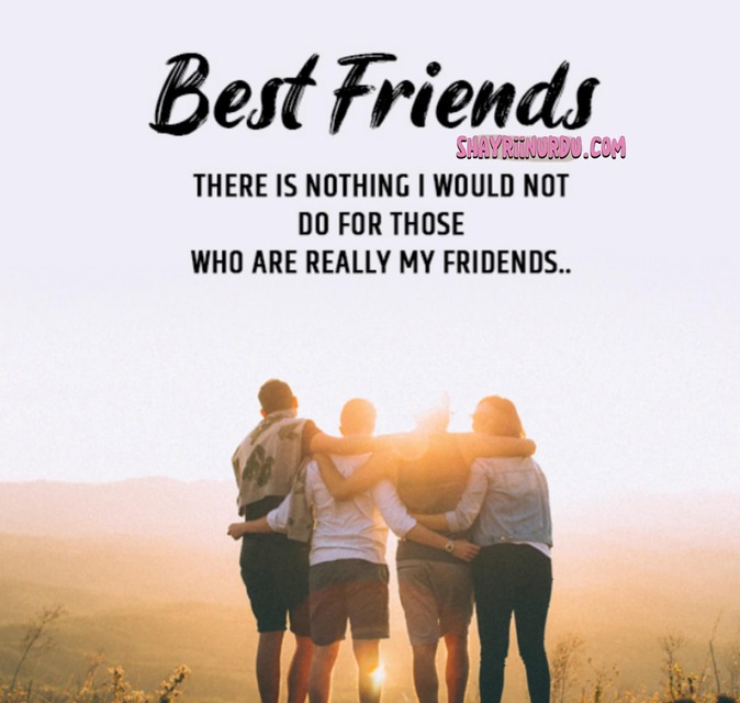 Friendship Quotes