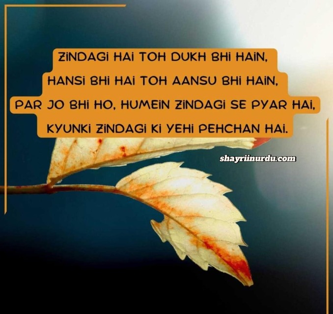 Zindagi Shayari in English