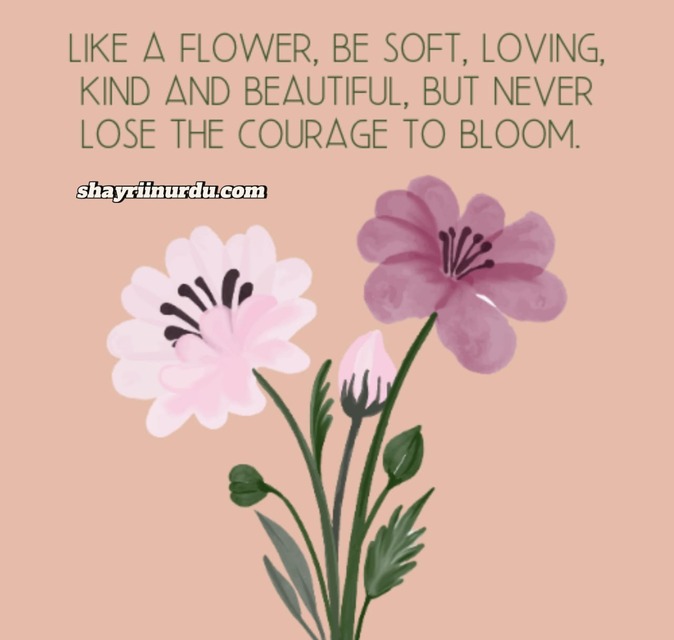 Flower Quotes