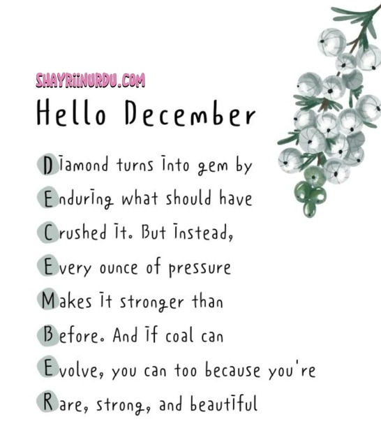 December Quotes