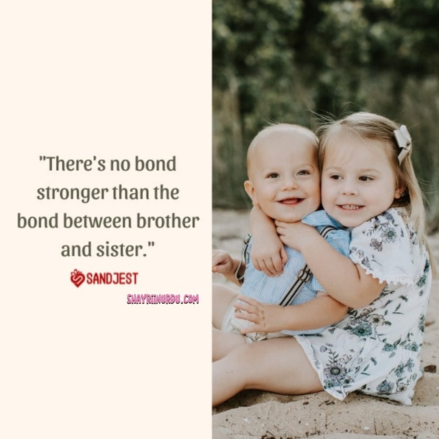 Brother Sister Quotes